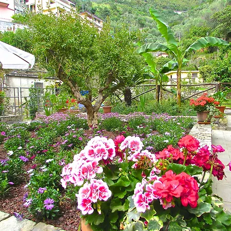 Hotel Souvenir Monterosso al Mare